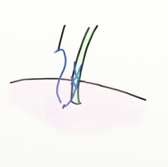 Pasted Graphic 4