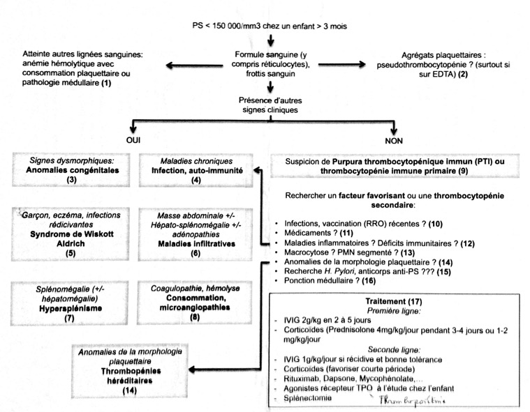 Capture d’écran 2025-12-06 à 06.23.59