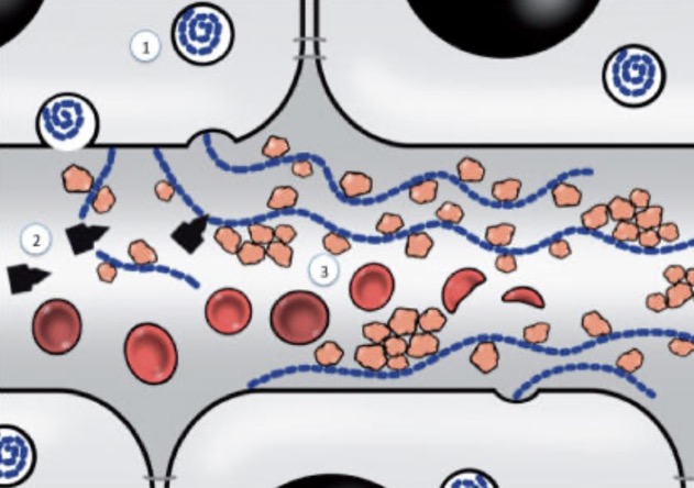 Capture d’écran 2025-12-06 à 07.04.17