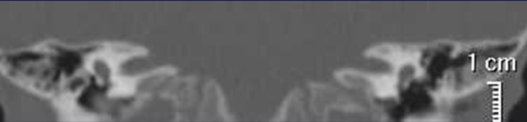 capture-d2019e0301cran-2025-06-02-a0300-08.21.55.png