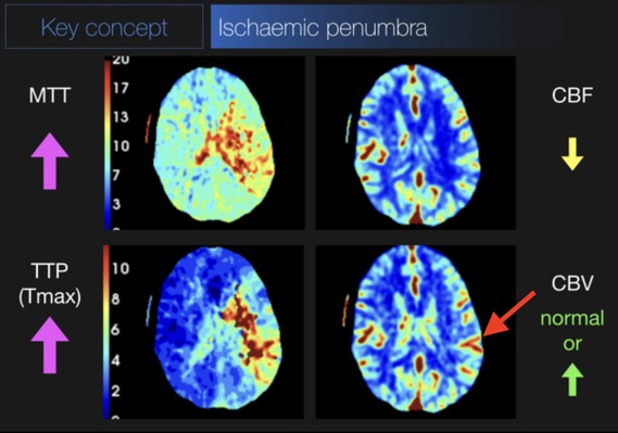 Capture d’écran 2025-08-09 à 08.05.27