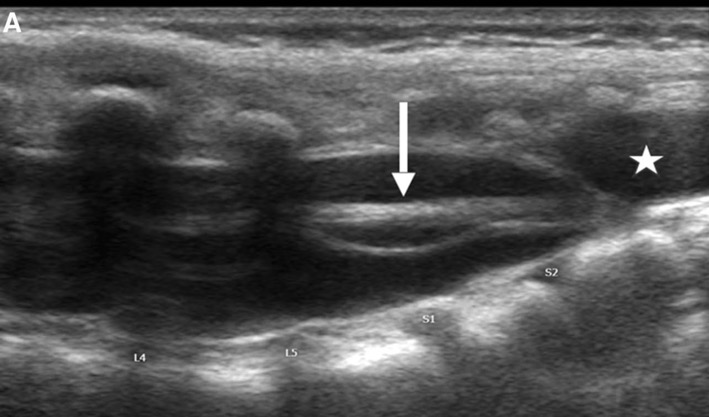 Capture d’écran 2025-10-19 à 07.31.52