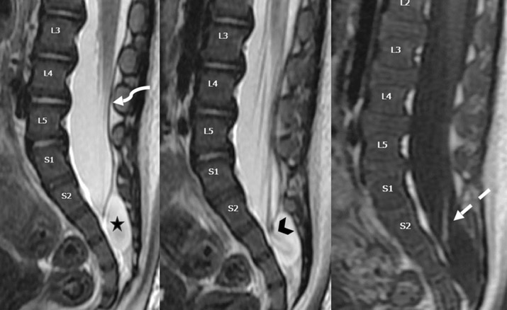 Capture d’écran 2025-10-19 à 07.32.13