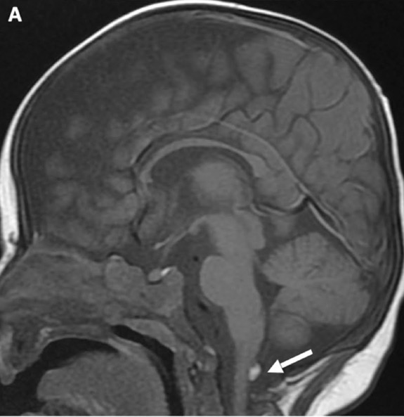 Capture d’écran 2025-10-19 à 07.32.28