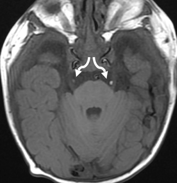 Capture d’écran 2025-10-19 à 07.32.40