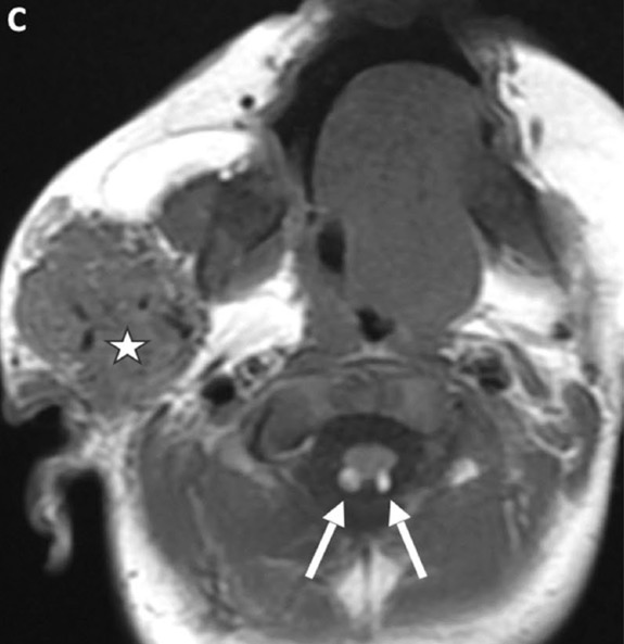 Capture d’écran 2025-10-19 à 07.32.52