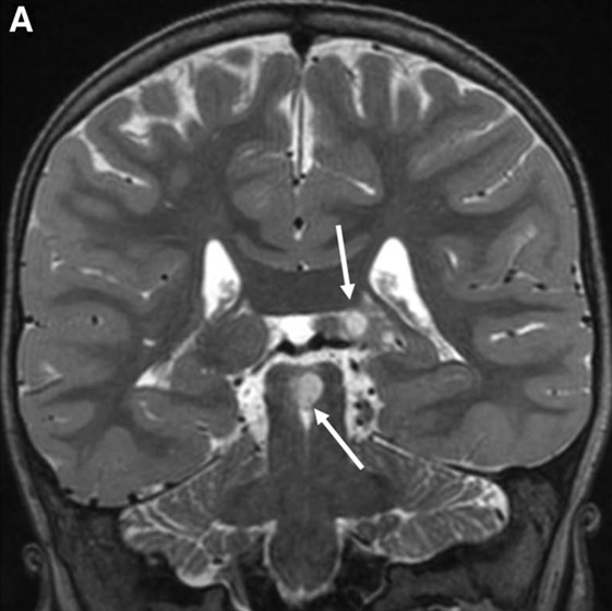 Capture d’écran 2025-10-19 à 07.33.59