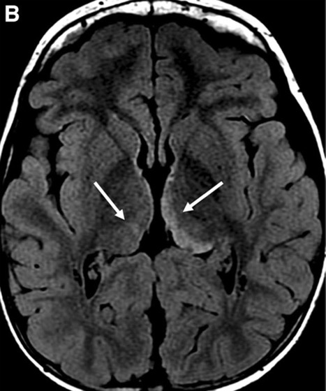 Capture d’écran 2025-10-19 à 07.34.11