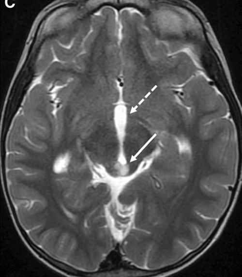 Capture d’écran 2025-10-19 à 07.34.24