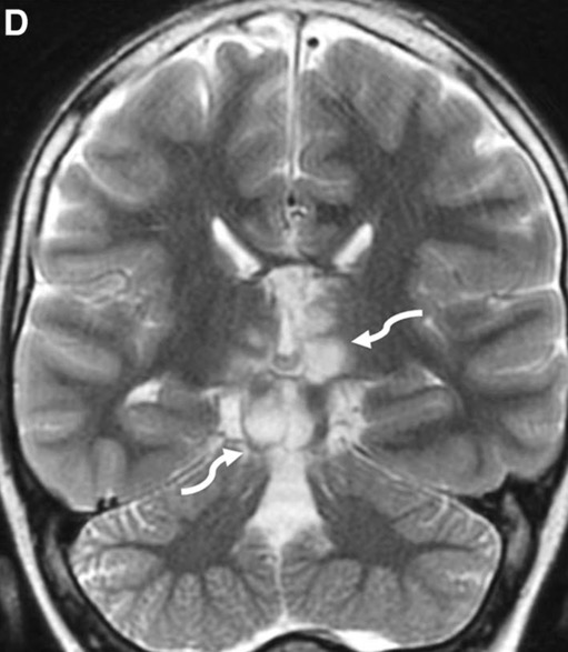 Capture d’écran 2025-10-19 à 07.34.34