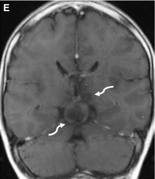 Capture d’écran 2025-10-19 à 07.34.51