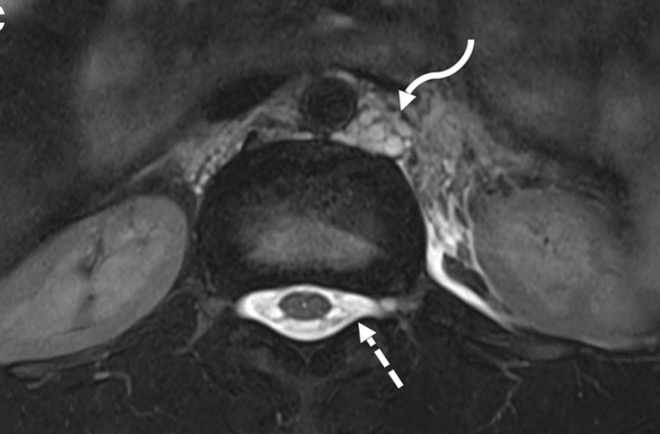 Capture d’écran 2025-10-19 à 07.36.24