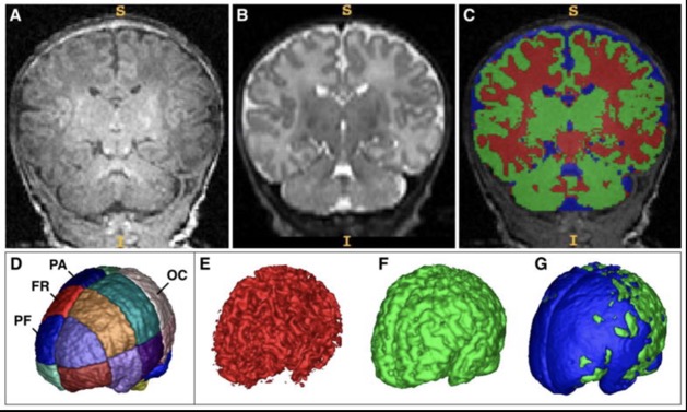 Capture d’écran 2025-12-12 à 08.24.13