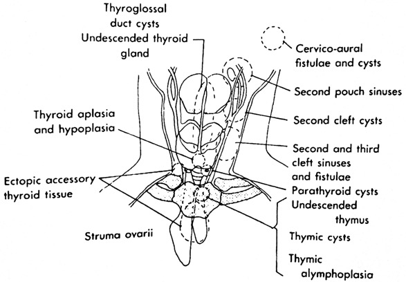 Capture d’écran 2025-12-06 à 06.21.54
