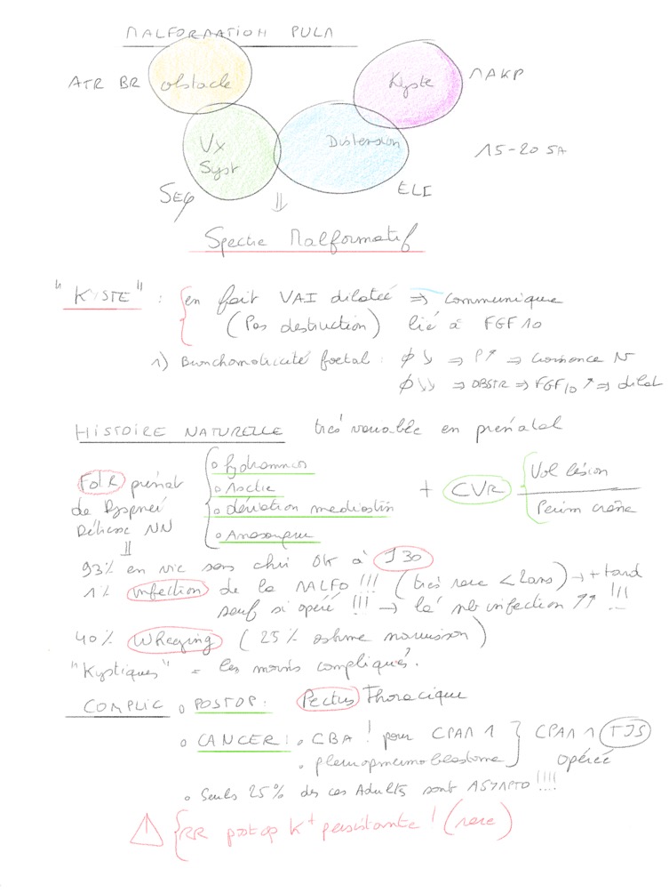 malfo pulm 2