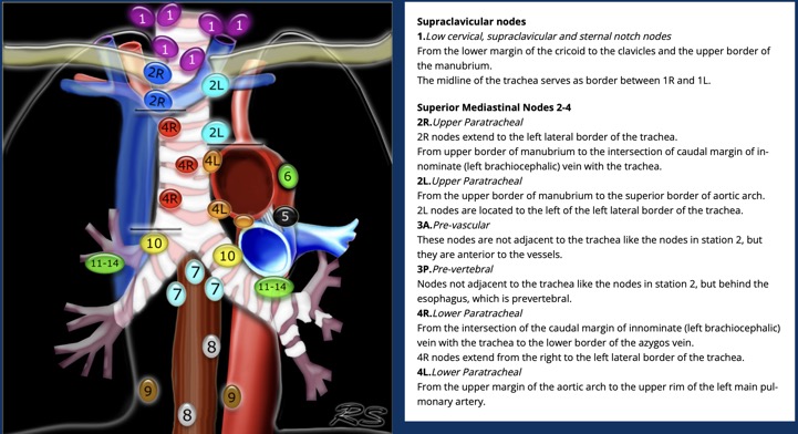 Capture d’écran 2026-02-22 à 09.03.52