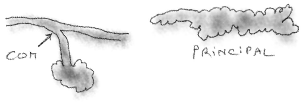 28C0A44F-2B47-4A5D-9A3F-9545199DFE9F_1_201_a