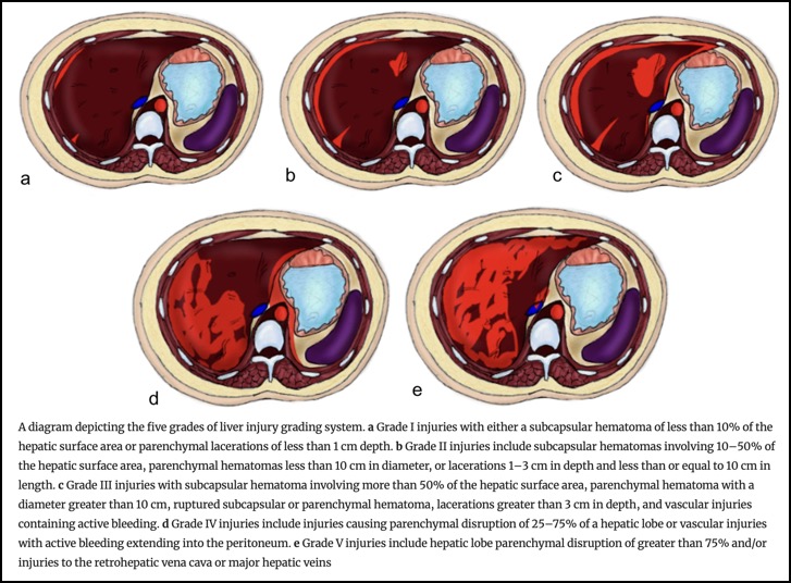 Capture d’écran 2025-10-12 à 12.05.14