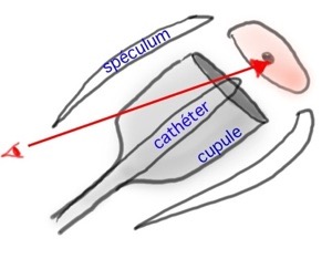 Pasted Graphic 5