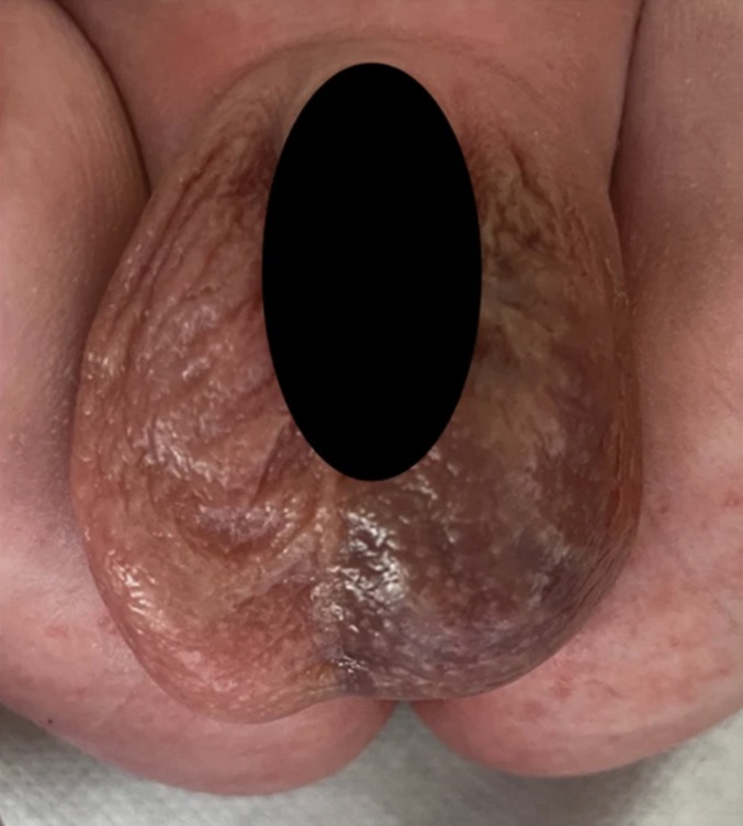 Capture d’écran 2025-10-22 à 12.17.26