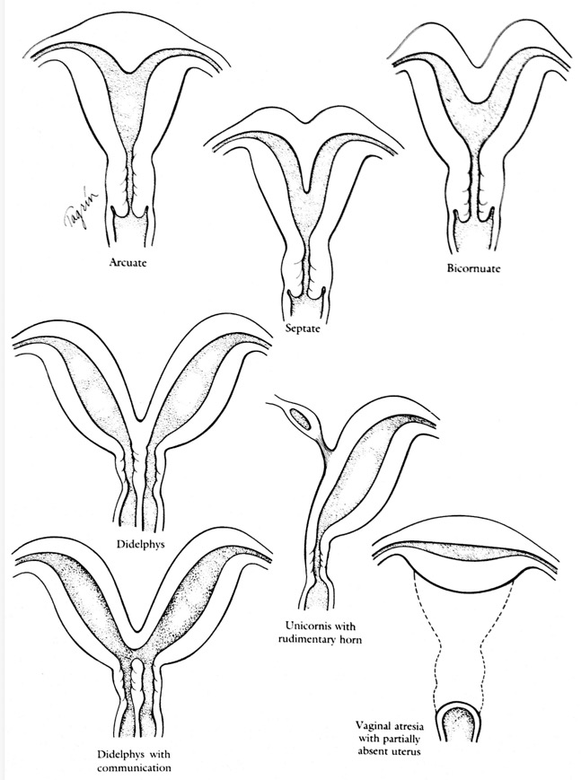 Capture d’écran 2025-12-06 à 06.16.29