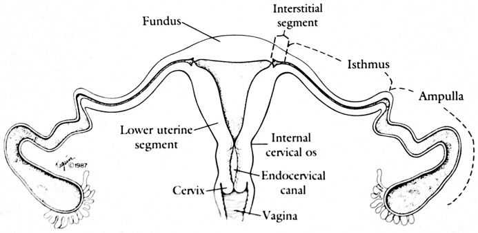 Capture d’écran 2025-12-06 à 06.20.55
