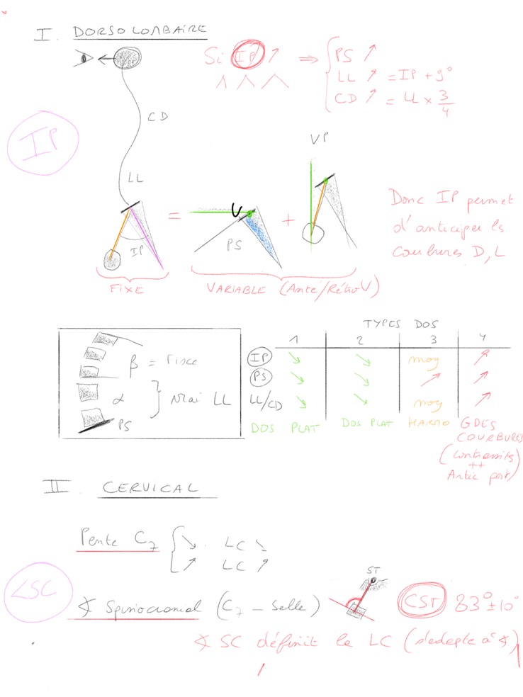 e0301quilibre-sagital--1.png