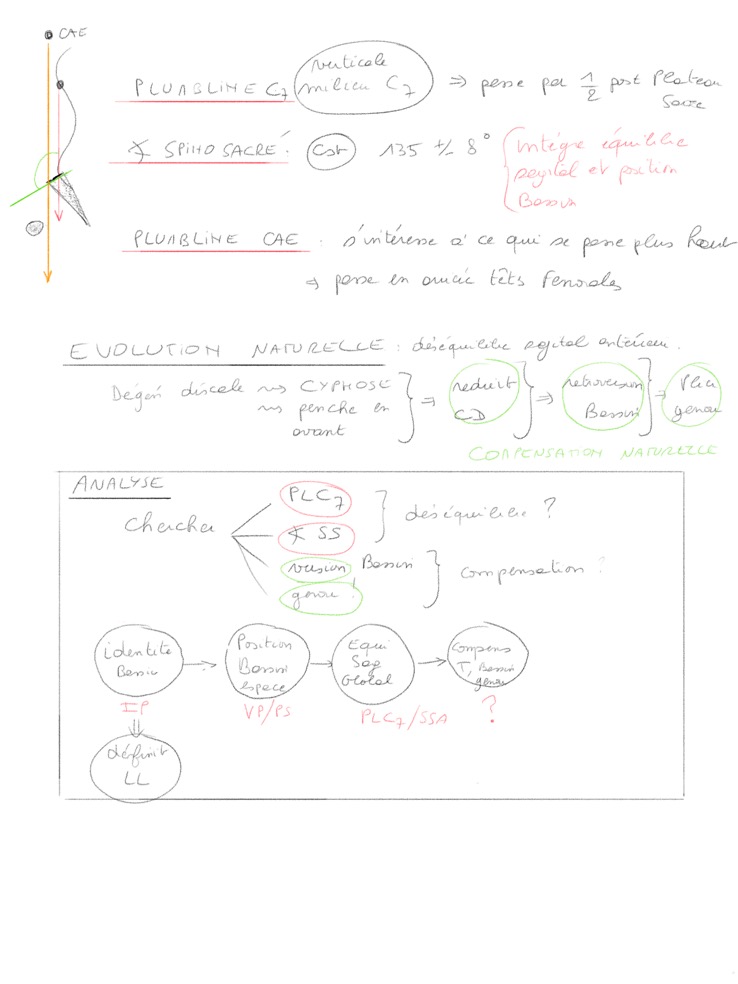 e0301quilibre-sagital--2.png