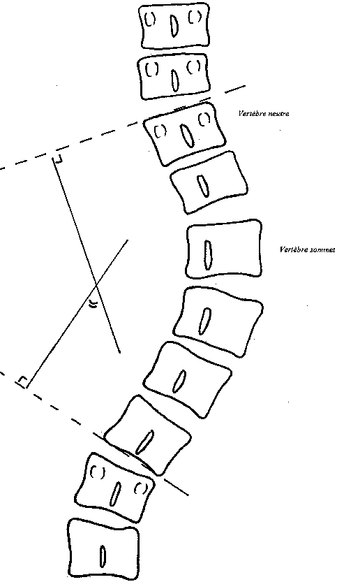 15_ORTHOP_DIE_COURANTE1
