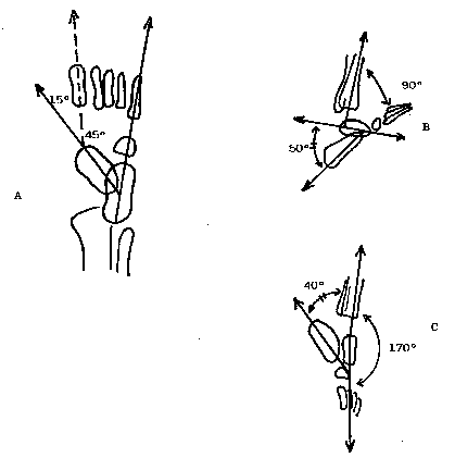 15_ORTHOP_DIE_COURANTE4