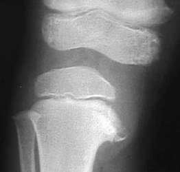 capture-d2019e0301cran-2015-03-22-a0300-10.37.43