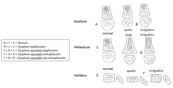 Capture d’écran 2025-10-31 à 06.36.39