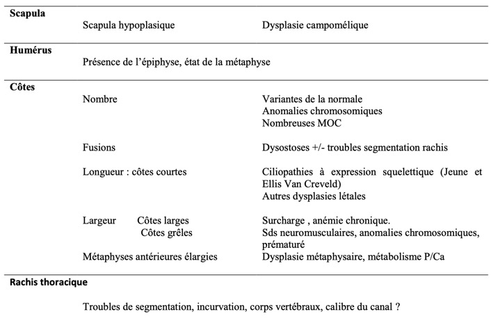 Capture d’écran 2025-10-31 à 06.41.51