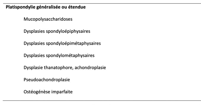Capture d’écran 2025-10-31 à 06.47.12