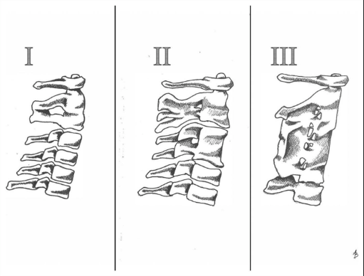 Capture d’écran 2026-02-06 092523