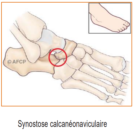 Capture d’écran 2026-02-23 093823