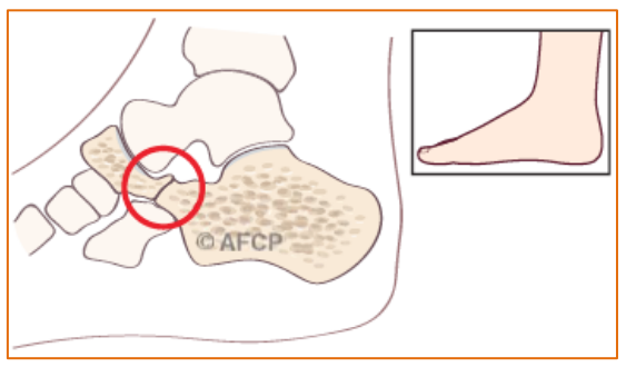 Capture d’écran 2026-02-23 093849