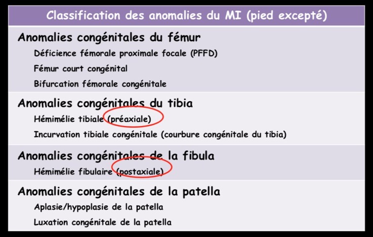 Classification des anomalies du MI (pied excepté)