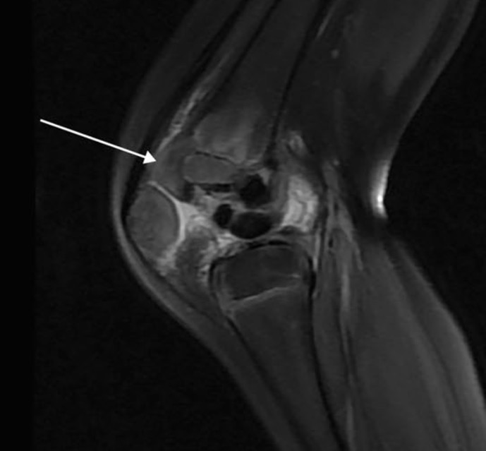 Capture d’écran 2025-11-16 à 11.06.54
