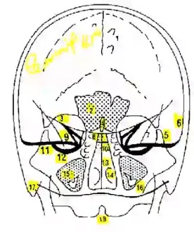 face rx